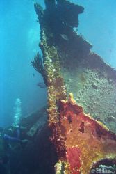 Wreck of the RMS Rhone, Salt Island, British Virgin Islan... by Pauline Jacobson 